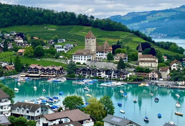 Analisis CHF/USD Kembali Menguat - Data Pasar 2025-11-01