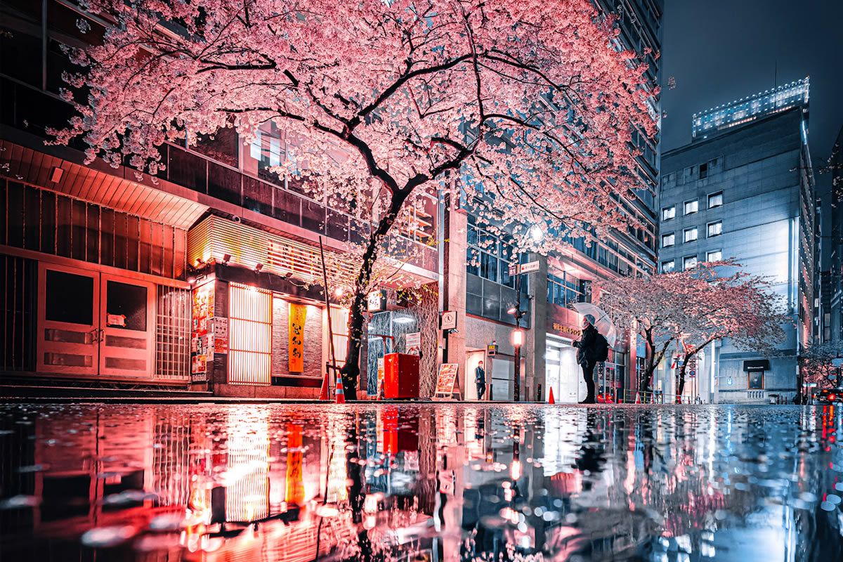 Analisis USD/JPY Masih Bertahan Seiring Penguatan USD - Data Pasar 2025-11-18